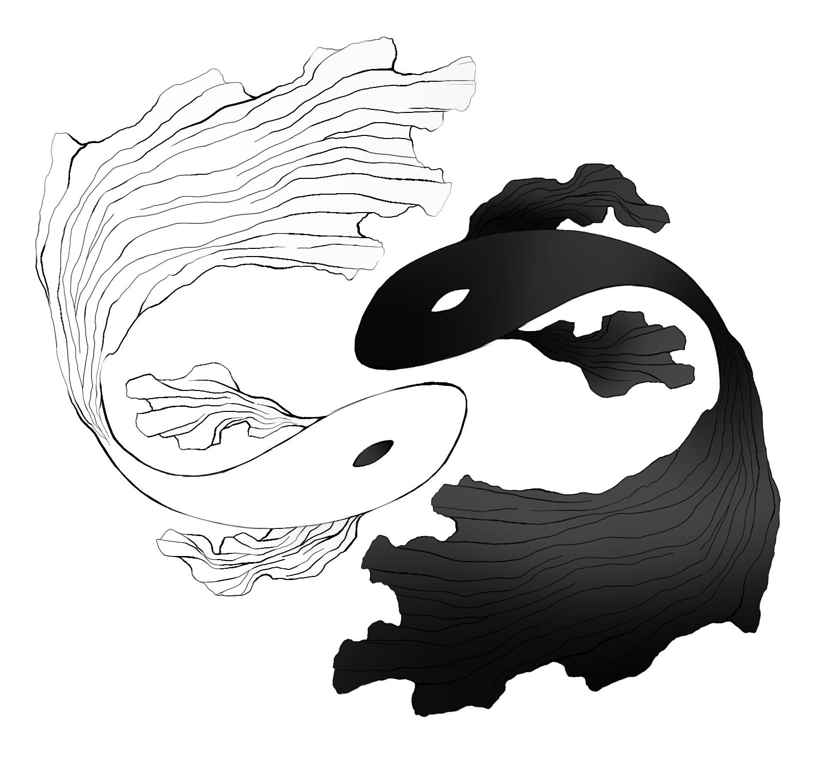 White Koi Wellness